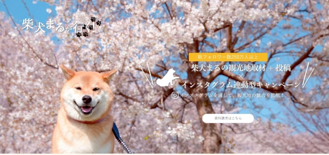 総フォロワー数250万人以上の「柴犬まる」とInstagramキャンペーンツール「CAMPiN」が連携。観光地を支援する地方創生キャンペーンプランの提供を開始。